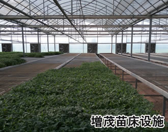 1472623711874348.jpg 種植苗床.jpg