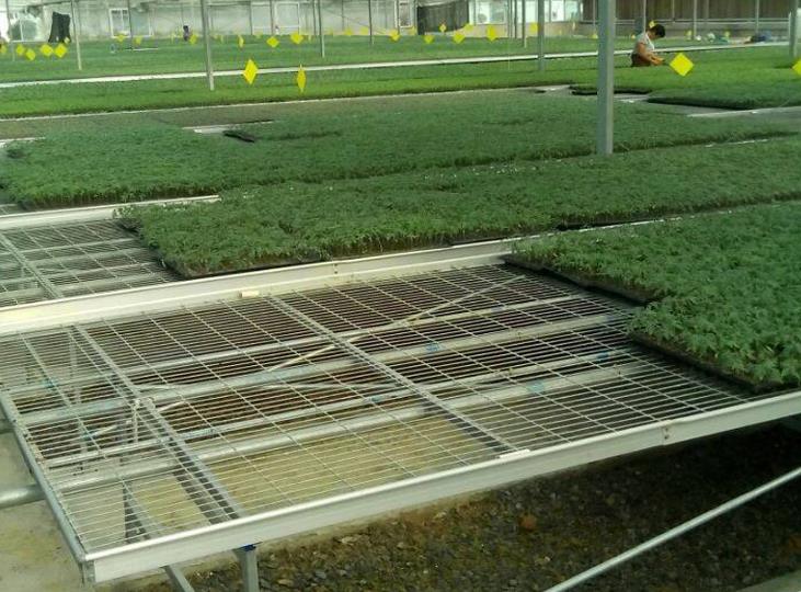 1566028388935448.jpg <a href='http://www.scwxx.com/miaochuangsheshi/199.html'target='_blank'>育苗床</a>.jpg